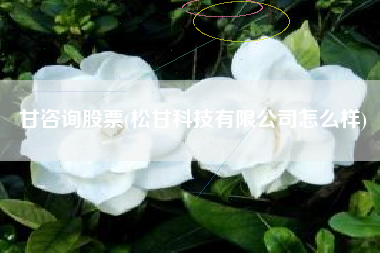 甘咨询股票(松甘科技有限公司怎么样)