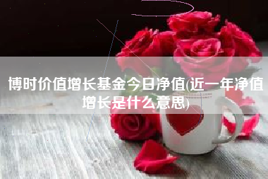 博时价值增长基金今日净值(近一年净值增长是什么意思)