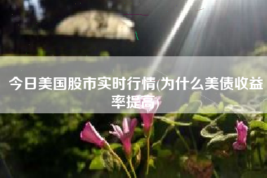 今日美国股市实时行情(为什么美债收益率提高)