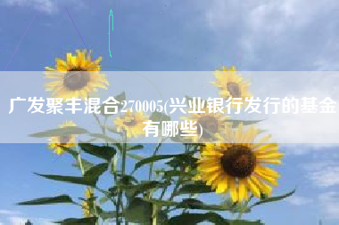 广发聚丰混合270005(兴业银行发行的基金有哪些)