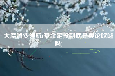 大摩消费领航(基金定投到底是舆论吹嘘吗)