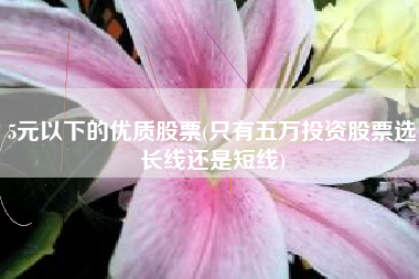 5元以下的优质股票(只有五万投资股票选长线还是短线)