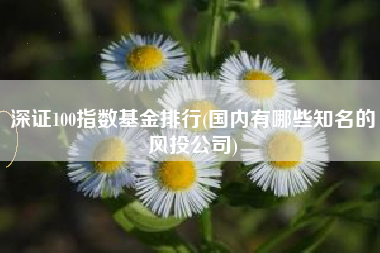 深证100指数基金排行(国内有哪些知名的风投公司)