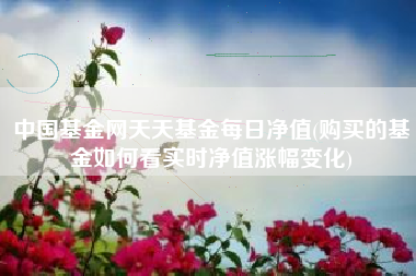 中国基金网天天基金每日净值(购买的基金如何看实时净值涨幅变化)