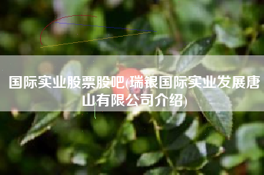 国际实业股票股吧(瑞银国际实业发展唐山有限公司介绍)