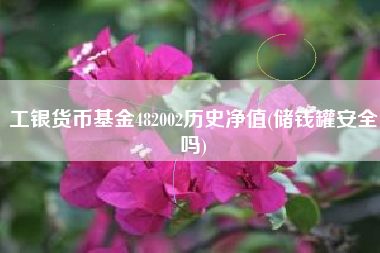 工银货币基金482002历史净值(储钱罐安全吗)