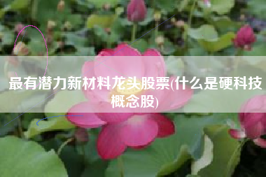 最有潜力新材料龙头股票(什么是硬科技概念股)