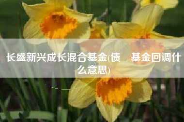 长盛新兴成长混合基金(债劵基金回调什么意思)