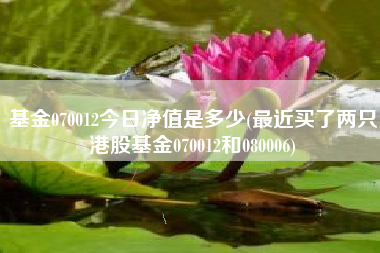 基金070012今日净值是多少(最近买了两只港股基金070012和080006)