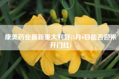 康美药业最新重大利好(5月6日能否迎来开门红)