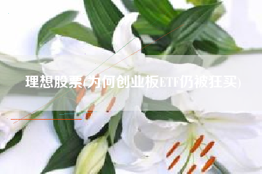 理想股票(为何创业板ETF仍被狂买)