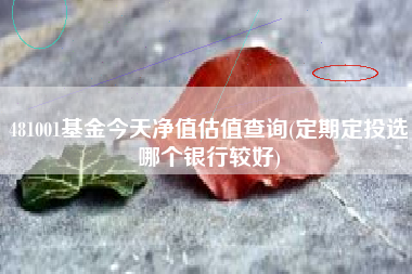 481001基金今天净值估值查询(定期定投选哪个银行较好)