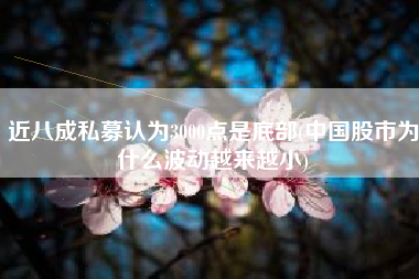 近八成私募认为3000点是底部(中国股市为什么波动越来越小)