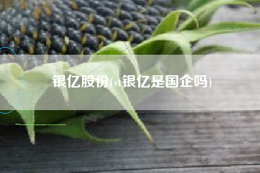 详细阅读:银亿股份(st银亿是国企吗) 银亿股份(st银亿是国企吗)