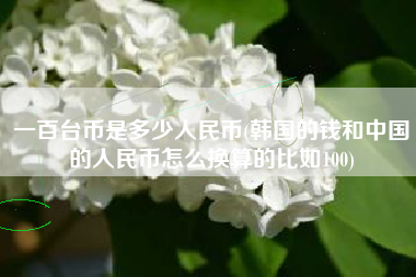 一百台币是多少人民币(韩国的钱和中国的人民币怎么换算的比如100)