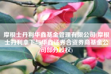 摩根士丹利华鑫基金管理有限公司(摩根士丹利拿下与华鑫证券合资券商基金公司部分股权)