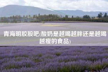 青海明胶股吧(酸奶是越喝越胖还是越喝越瘦的食品)