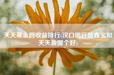天天基金网收益排行(汉口银行随鑫宝和天天盈哪个好)
