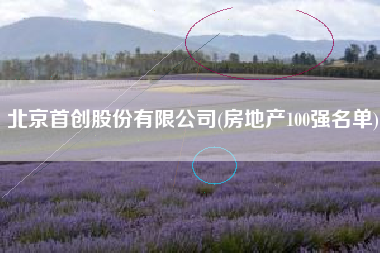 北京首创股份有限公司(房地产100强名单)