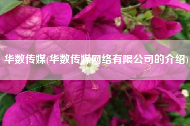 华数传媒(华数传媒网络有限公司的介绍)