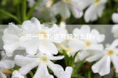三一重工(这只股怎么样)