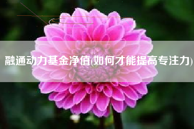 融通动力基金净值(如何才能提高专注力)