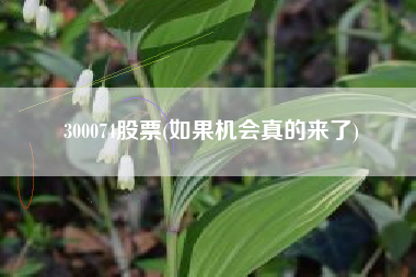 300074股票(如果机会真的来了)