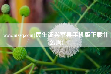 www.mszq.com(民生证券苹果手机版下载什么啊)