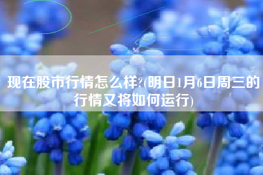 现在股市行情怎么样?(明日1月6日周三的行情又将如何运行)