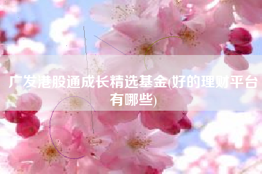 广发港股通成长精选基金(好的理财平台有哪些)