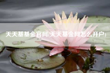 天天基基金官网(天天基金网怎么开户)
