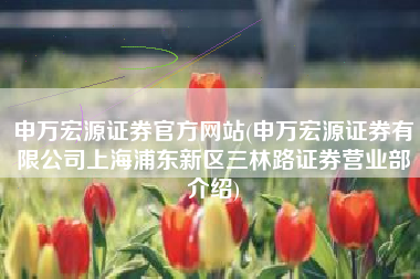 申万宏源证券官方网站(申万宏源证券有限公司上海浦东新区三林路证券营业部介绍)