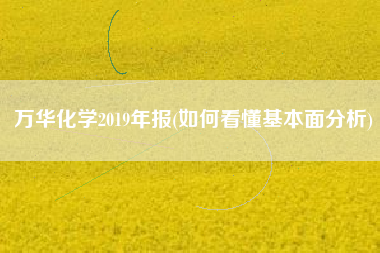 万华化学2019年报(如何看懂基本面分析)