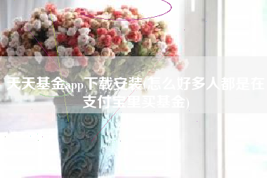 天天基金app下载安装(怎么好多人都是在支付宝里买基金)