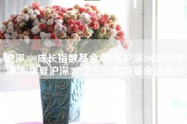 沪深300成长指数基金(嘉实沪深300鹏华沪深300华夏沪深300这三只指数基金选哪只好)