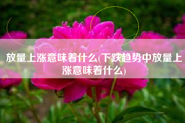 放量上涨意味着什么(下跌趋势中放量上涨意味着什么)