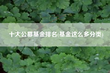 十大公募基金排名(基金这么多分类)