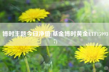博时主题今日净值(基金博时黄金ETF159937)