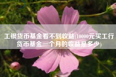 工银货币基金看不到收益(10000元买工行货币基金一个月的收益是多少)