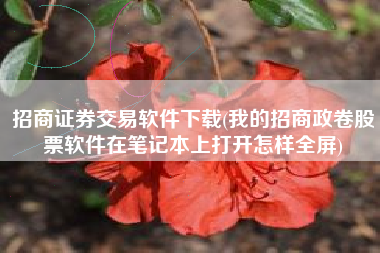招商证券交易软件下载(我的招商政卷股票软件在笔记本上打开怎样全屏)
