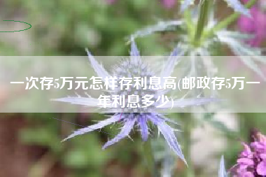 一次存5万元怎样存利息高(邮政存5万一年利息多少)