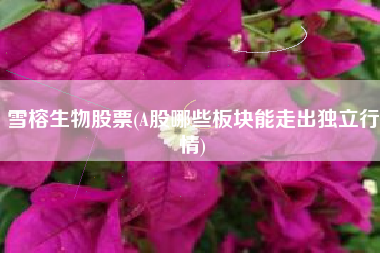 雪榕生物股票(A股哪些板块能走出独立行情)
