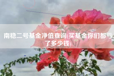 南稳二号基金净值查询(买基金你们都亏了多少钱)
