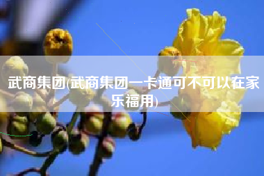 武商集团(武商集团一卡通可不可以在家乐福用)