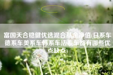 富国天合稳健优选混合基金净值(日系车德系车美系车韩系车法系车都有哪些优点缺点)