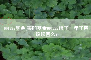 001227基金(买的基金001227赔了一年了应该赎回么)