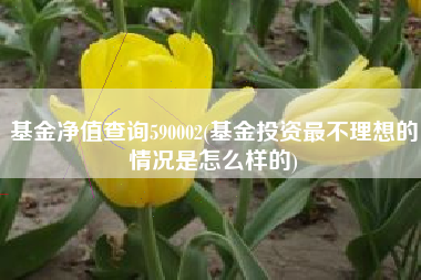 基金净值查询590002(基金投资最不理想的情况是怎么样的)