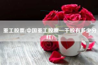 重工股票(中国重工股票一千股有多少分红)