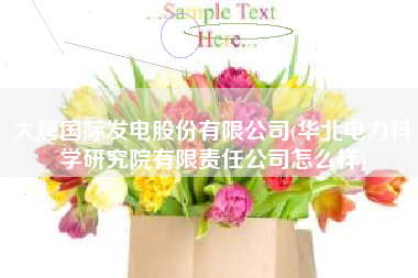 大唐国际发电股份有限公司(华北电力科学研究院有限责任公司怎么样)