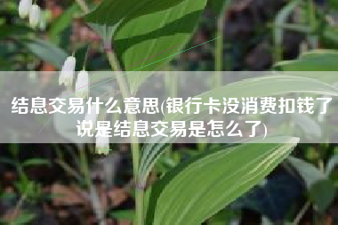 结息交易什么意思(银行卡没消费扣钱了说是结息交易是怎么了)